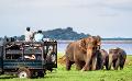             Sri Lanka still a tourist favourite destination despite challenges
      