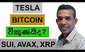             Video: DID TESLA SELL ITS BITCOIN STASH??? | SUI, AVAX, AND XRP
      