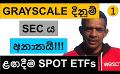             Video: GRAYSCALE WINS AGAINST SEC!!! | SPOT BITCOIN ETFs TO HIT THE MARKETS SOON?
      